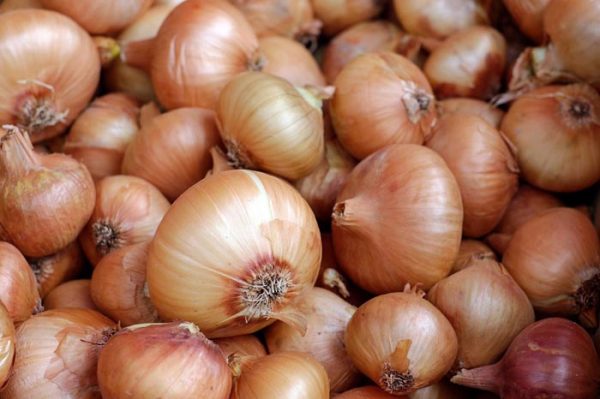 Remedios caseros para la Sinusitis con Cebolla